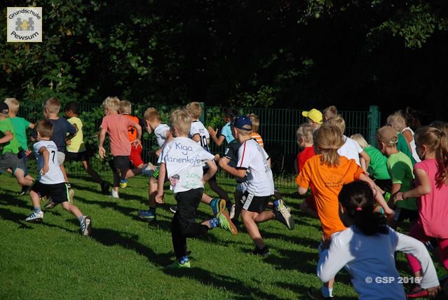 Sponsorenlauf 2016