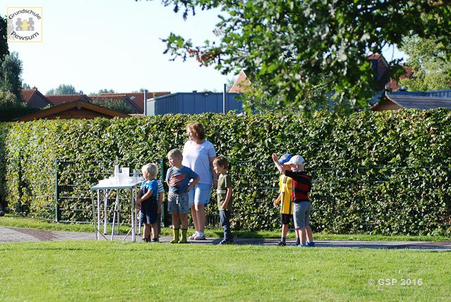 Sponsorenlauf 2016