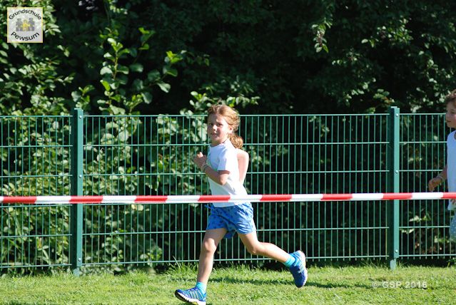Sponsorenlauf 2016