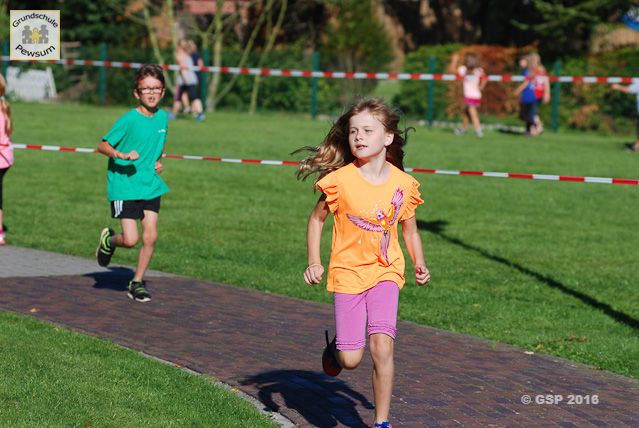 Sponsorenlauf 2016
