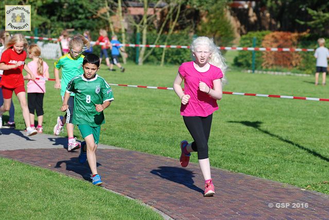 Sponsorenlauf 2016