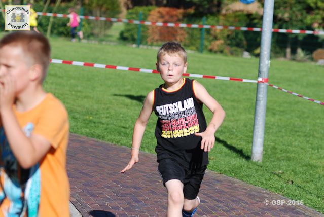 Sponsorenlauf 2016