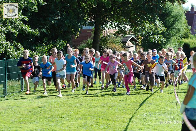 Sponsorenlauf 2016