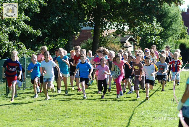 Sponsorenlauf 2016