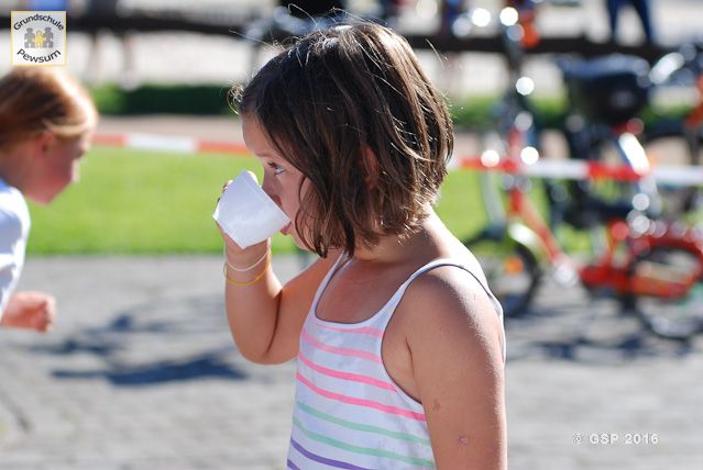 Sponsorenlauf 2016